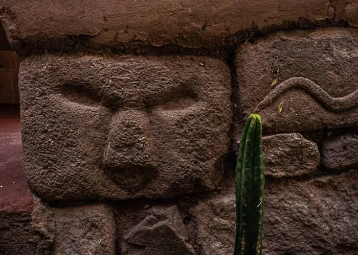 Casa Andina Privada A Lado Del Museo - Qespiwanka