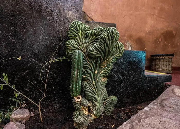 Apartamento Casa Andina Privada A Lado Del Museo - Qespiwanka